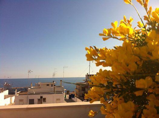 Dimora Delle Rondini Bed and Breakfast Polignano a Mare Exteriör bild